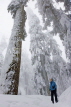 CANADA, British Columbia, VANCOUVER (North), Mount Seymour Provincial Park, hiker, snow, CAN856JPL