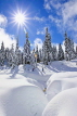 CANADA, British Columbia, VANCOUVER (North), Mount Seymour Provincial park, snowshoers, CAN794JPL