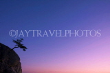 CANADA, British Columbia, VANCOUVER (West), Lighthouse Park, tree on rock at sunset, CAN892JPL