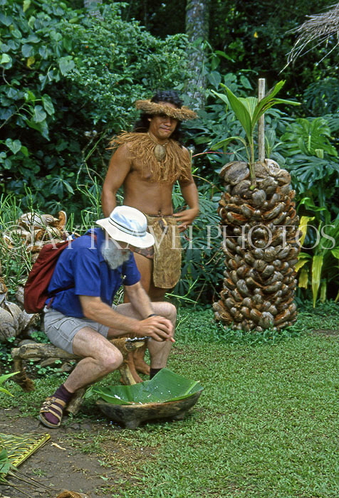 COOK ISLANDS, Rarotonga, Cultural Village, Maori man and tourist learning to scrape coconut, CI916JPL