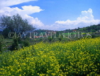 CYPRUS, Troodos Mountain scenery, LOFOU village and countryside, CYP206JPL