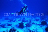 Cayman Islands, GRAND CAYMAN, two scuba divers and seabed, CAY514JPL