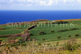Channel Islands, JERSEY, countryside and coastal view, UK10415JPL