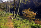 Channel Islands, JERSEY, countryside and footpath, UK10403JPL