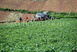 Channel Islands, JERSEY, farmed land and farmers harvesting, UK10434JPL