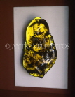 DOMINICAN REPUBLIC, Puerto Plata, Amber Museum, large piece of Amber, DR151JPL