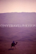 EGYPT, Giza, desert scene with camel and rider, EGY129JPL