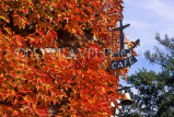 FRANCE, Haute Savoie, THONON-LES-BAINS, town centre, cafe sign, FRA2263JPL