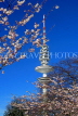 GERMANY, Hamburg, TV Tower and Spring blossom, HAM714JPL