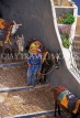 Greek Islands, SANTORINI, Fira, man with donkeys, GIS643JPL