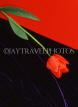 HOLLAND, Tulip (against red and velvet background), abstract, HOL707JPL