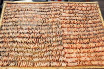 HONG KONG, Cheung Chau island, seafood drying in the sun, shrimps, HK1570JPL