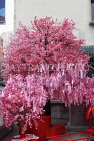 HONG KONG, Hong Kong Island, Man Mo Temple, po dip wishing tree, HK2433JPL