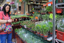 HONG KONG, Kowloon, Mong Kok, Flower Market, HK977JPL