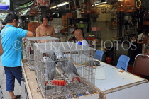 HONG KONG, Kowloon, Mong Kok, Yuen Po Street Bird Garden, HK939JPL