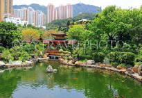 HONG KONG, Kowloon, Nan Lian Garden, Blue Pond and Pavilion Bridge, HK1029JPL