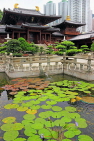 HONG KONG, Kowloon, Nan Lian Garden, Chi Lin Nunnery, Hall of Celestial Kings & Lotus Garden, HK1044JPL