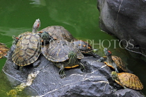 HONG KONG, Kowloon, Wong Tai Sin Temple, Good Wish Garden, Terrapins, HK1074JPL