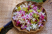 Hawaiian Islands, OAHU, Spray Orchids for Lei making with, HAW230JPL