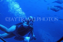 Hawaiian Islands, OAHU, scuba diver, HAW298JPL