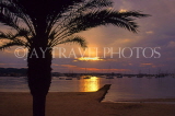 IBIZA, San Antonio, sunset and palm tree, SPN1262JPL