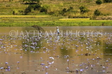 MADAGASCAR, Ambalavao,  fisherman casting net in lake, MDG212JPL