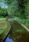 MADEIRA, Funchal, Quinta Palheiro Gardens (Blandy Gardens), MAD1173JPL