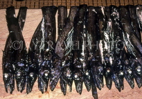 MADEIRA, Funchal Market, famous Espada (Scabbard) Fish, MAD193JPL