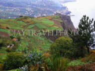 MADEIRA, coastal cliffs and terraced farmed land, MAD149JPL