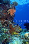 MALDIVE ISLANDS, Coral reef, MAL606JPL