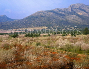 MALLORCA, countryside, Almond trees and mountains, MAL1221JPL