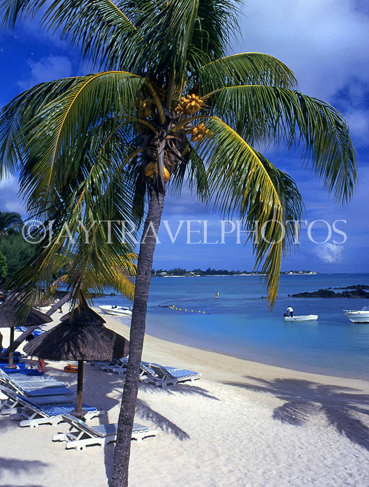 MAURITIUS, North Coast (near Grand Bay), beach, coconut tree and sunbeds, MRU119JPL