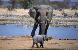 NAMIBIA, Etosha National Park, Elephant and baby by waterhole, NAM110JPL