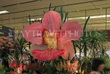 SINGAPORE, Changi Airport, Terminal 1, SIN1541PL