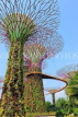 SINGAPORE, Gardens by the Bay, Supertree Grove, SIN441JPL
