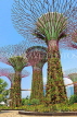 SINGAPORE, Gardens by the Bay, Supertree Grove, SIN446JPL