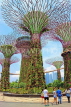 SINGAPORE, Gardens by the Bay, Supertree Grove, SIN449JPL