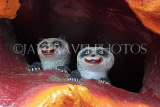 SINGAPORE, Haw Par Villa, SIN557JPL