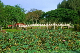 SINGAPORE, Japanese Garden (Seiwaen), lotus pond and bridge, SIN242JPL
