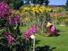 SINGAPORE, Mandai Orchid Garden, SIN252JPL
