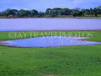 SRI LANKA, Anuradhapura, Bassawakkuluma Tank and storks, SLK274JPL