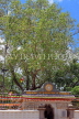 SRI LANKA, Anuradhapura, Jaya Sri Maha Bodhi (sacred Bo tree site), SLK5493JPL