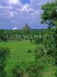 SRI LANKA, Anuradhapura, rice fields and Ruvanweliseya (left) & Jethavanaramaya dagabas, SLK240JPL