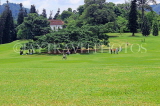 SRI LANKA, Kandy, Peradeniya Botanical Gardens, Giant Java Fig tree (140 years old), SLK4953JPL