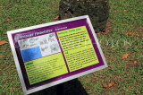 SRI LANKA, Kandy, Peradeniya Botanical Gardens, Palmyra tree avenue, information, SLK4872JPL