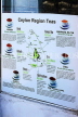 SRI LANKA, Kandy, poster illustrating various tea flaours and regions in Sri Lanka, SLK6370JPL