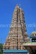 SRI LANKA, Matale, Arulmigu Sri Muthumariamman Hindu Temple (Kovil), Raja Koburum, SLK2977JPL