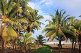 SRI LANKA, Negombo, beach and coconut trees, SLK2461JPL