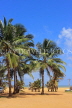 SRI LANKA, Negombo, beach and coconut trees, SLK5923JPL