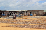 SRI LANKA, Negombo, fish drying out (to prepare salt fish), SLK6302JPL